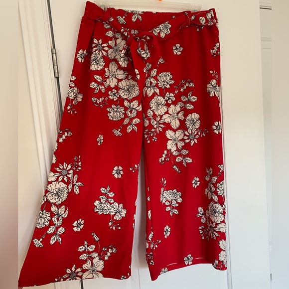 2/$20ποΈ Ashley Blue β’ Capri pull on pant β’ Sz XL - Picture 2 of 5